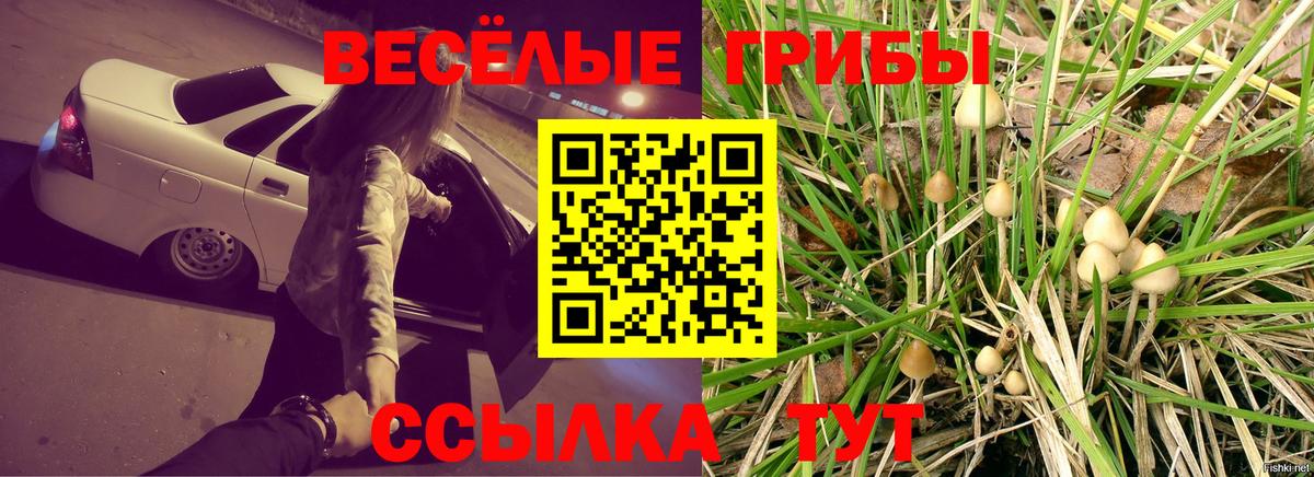 Псилоцибиновые грибы мицелий  Вход с VPN  наркота  Алушта 