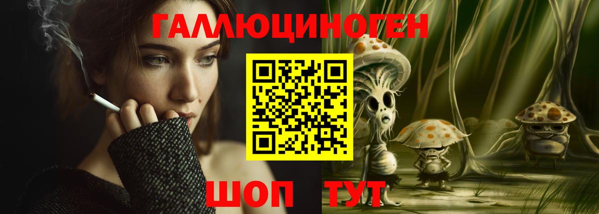 Псилоцибиновые грибы Psilocybe Алушта